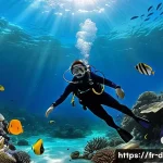 다이빙 강사 국제 인증 절차 - **Prompt: First Dive Wonder**
A highly detailed, photo-realistic image of a young adult (gender-...